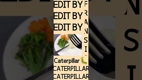 CATERPILLAR🐛