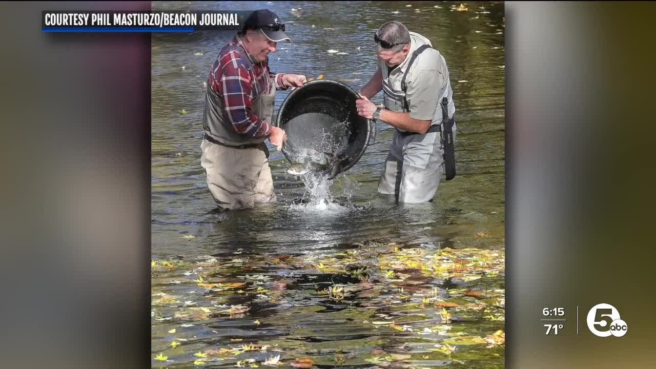Fisherman lured to Cuyahoga River after rainbow trout stocking