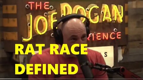 Rat Race Explained by Joe Rogan