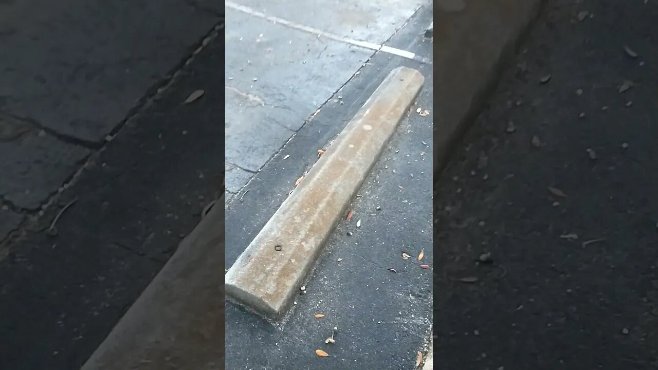 Gang Stalking Perp Walk 11/28/2021 Pt. 1