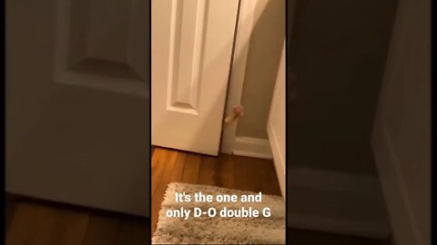 MEME is the one and only D-O double G #shorts