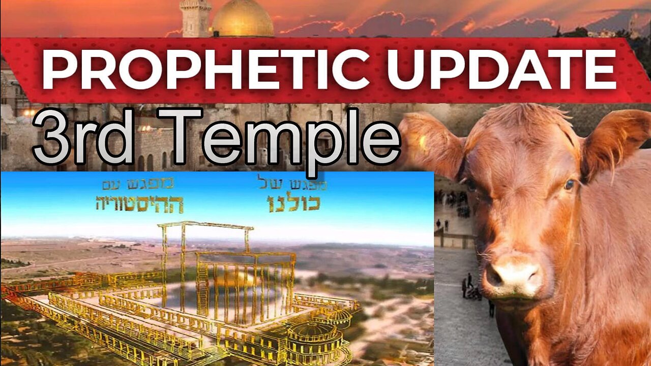 The Ceremony of The Red Heifer Will Occur Passover 2024