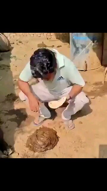 Indian Sanghi eating a cow dunk