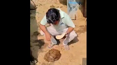 Indian Sanghi eating a cow dunk