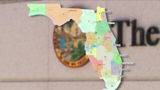 Looking at Florida's new congressional map ahead of the midterm election