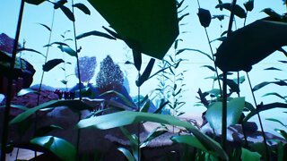 Unreal Engine Reef Kit Flythrough