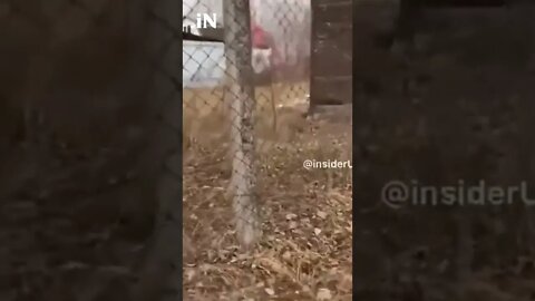 Ukrainians Defending Town