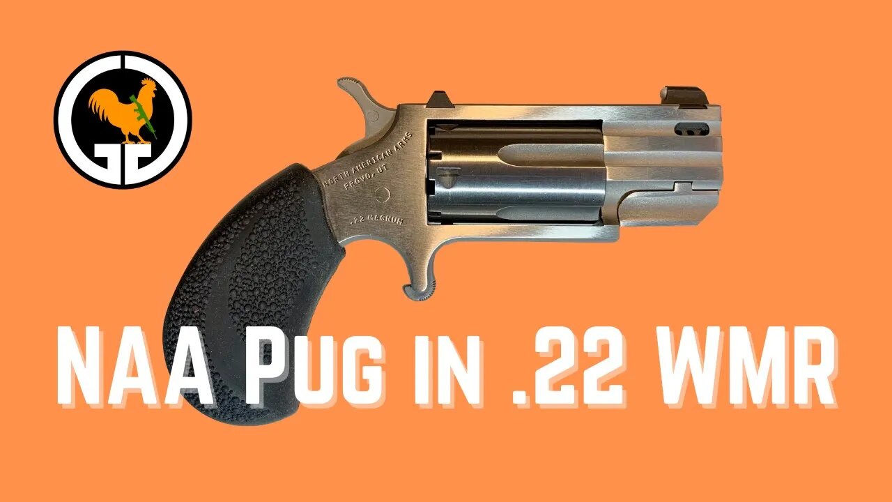 NAA Pug in .22 WMR