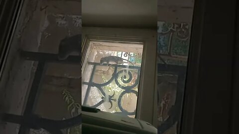 L'amichetto mio