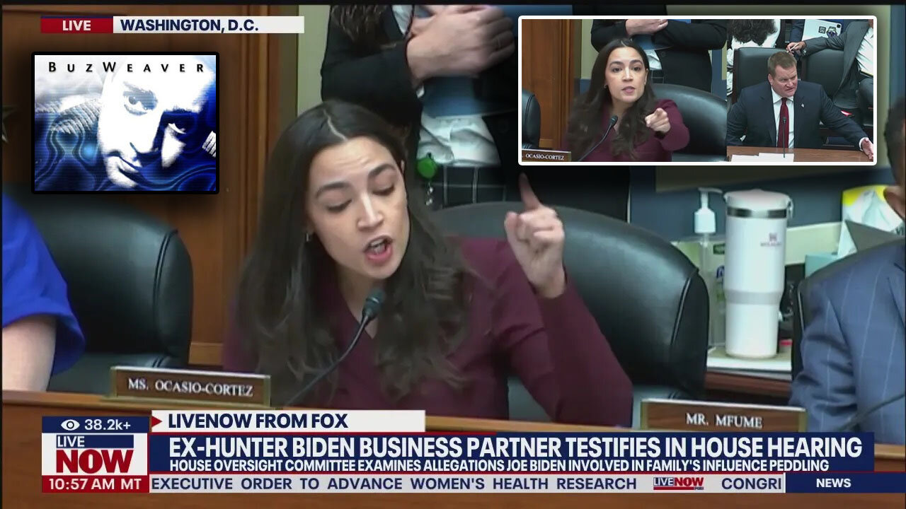 AOC and Tony Bobulinski Have A Heated Exchange During Joe Biden Impeachment Hearing