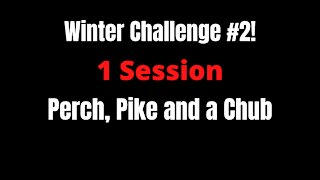 Perch, Pike, Chub in 1 session......challenge accepted!