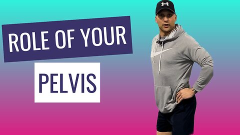 Role Of Your Pelvis