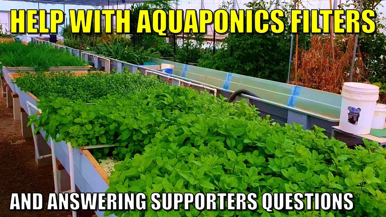 Radial Flow Settler & Biofilter Advice | Future Aquaponics Video Ideas