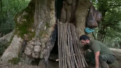 Build a warm shelter with a fireplace inside a 5,000 year old tree.16