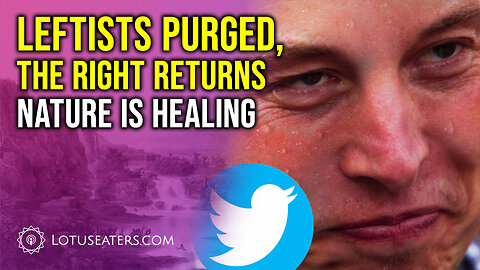 Post-Musk Clarity
