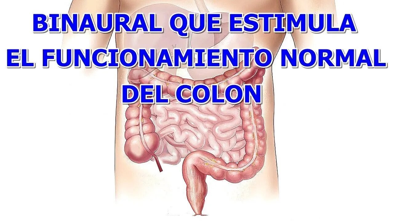 BINAURAL PARA ESTIMULAR EL FUNCIONAMIENTO NORMAL DEL COLON O INTESTINO GRUESO