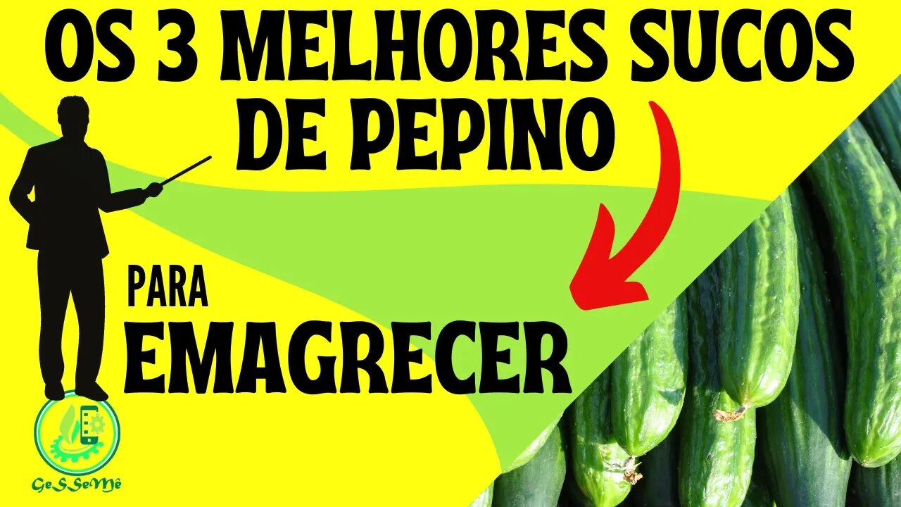 VEJA AQUI OS TRES MELHORES SUCOS DE PEPINO PARA EMAGRECER PARA FAZER EM CASA DE FORMA PRÁTICA.