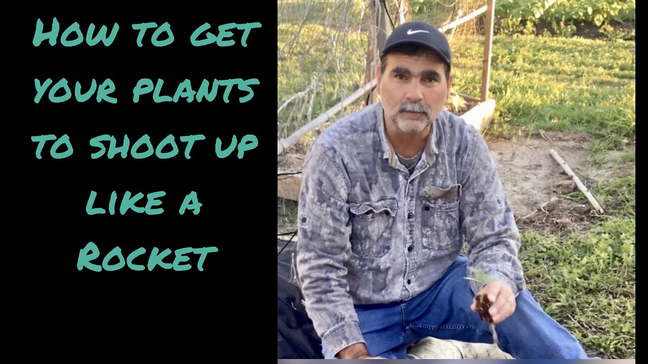 How to get your new plants to take off