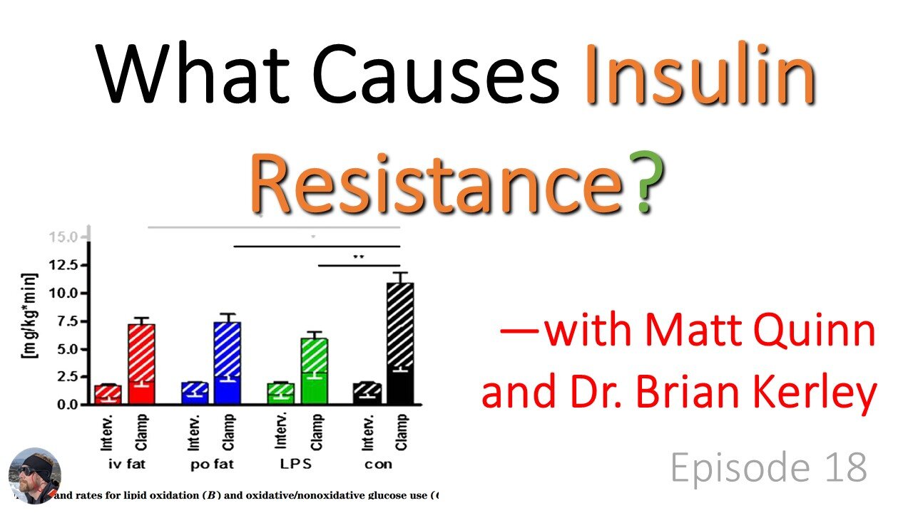 Ep. 18: What Causes Insulin Resistance?—with Matt Quinn and Dr. Brian Kerley