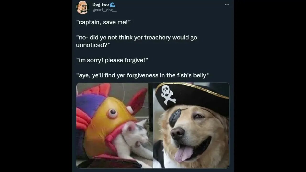 Animal Pirates