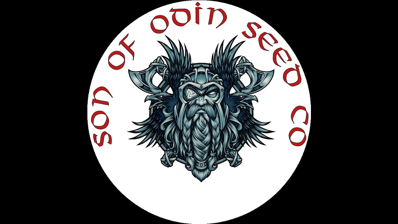 ODINS DAY