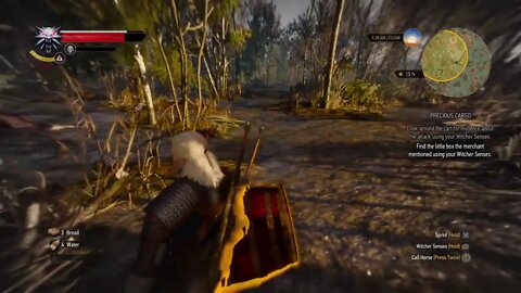 The Witcher 3 Wild Hunt Reboot Part 2-The Lost Brother