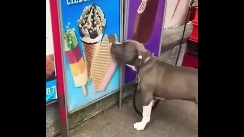 when you really want ice cream. and there is no money.