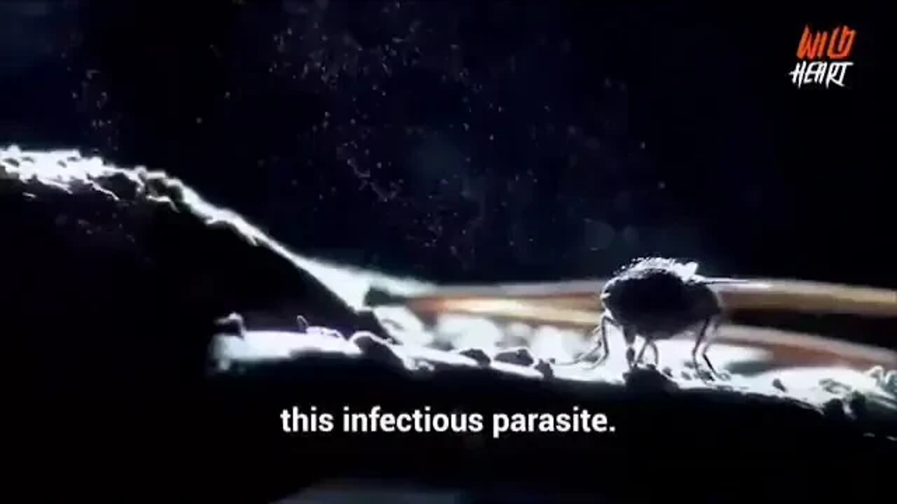 ۲۳ اوت ۲۰۲۲