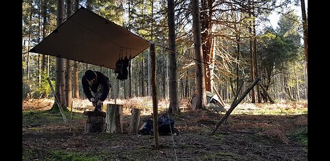 Woodland wildcamping 20th Jan 2023