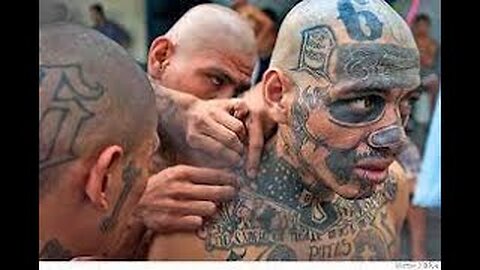 Worlds 10 Most Dangerous Gangs!!!