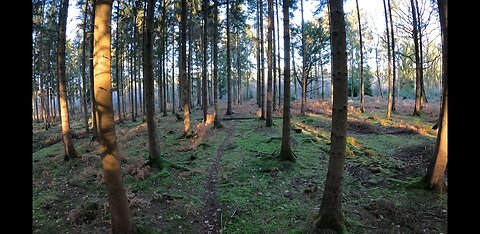 I am lost. Night hiking I'm the woods. 21st Jan 2023