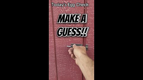 Make A #Guess! Today’s #Egg Check