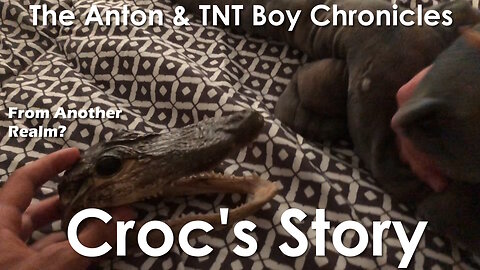 Croc's Story - Anton & TNT Boy Chronicles