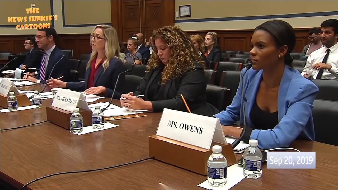 2019 Flashback: White Democrats' disgusting attack on a black woman at the hearing on race.