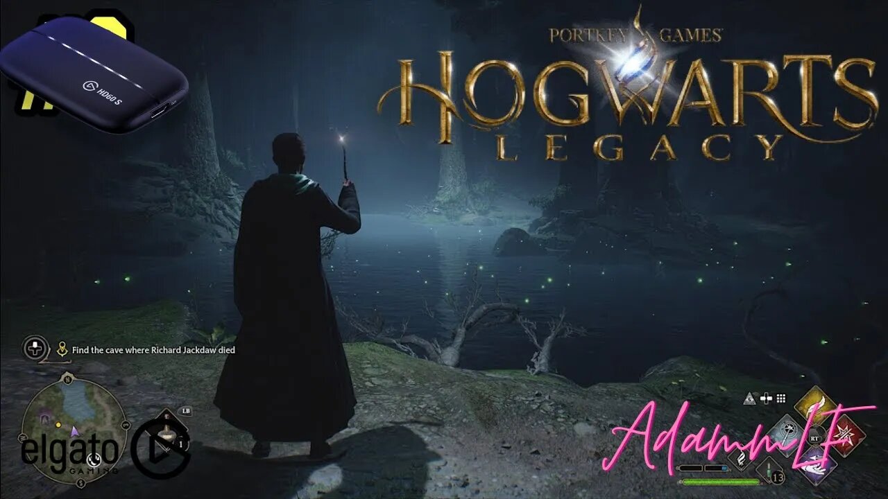 Hogwarts Legacy The Forbidden Forest Part 2