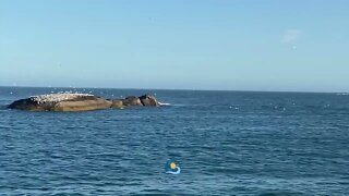 Final de tarde em Vila Velha, ES