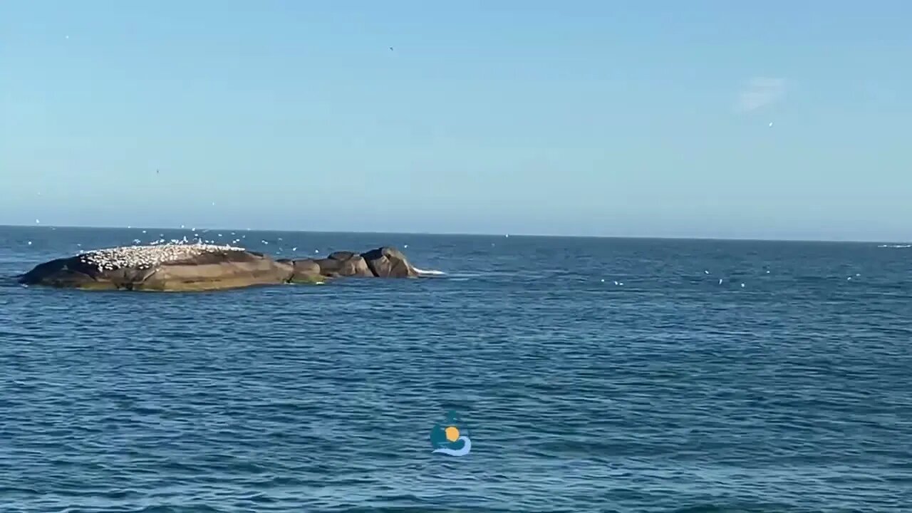 Final de tarde em Vila Velha, ES