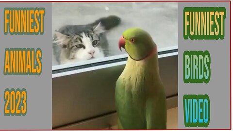 Funniest Pet Videos 🐶😹 Funniest Animals 2023 - Funniest Cats and Dogs 😹🐶 #Rumble