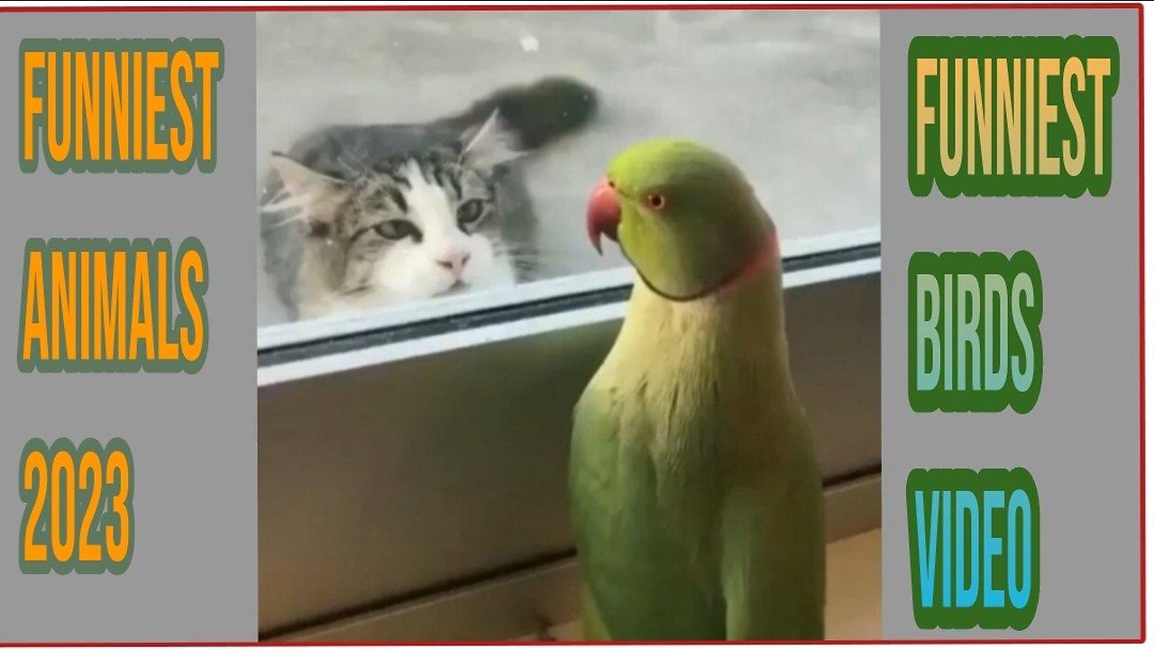 Funniest Pet Videos 🐶😹 Funniest Animals 2023 - Funniest Cats and Dogs 😹🐶 #Rumble