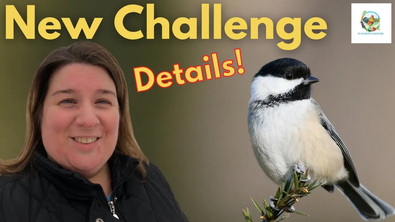 New Challenge For All Homesteaders | Migrating Birds