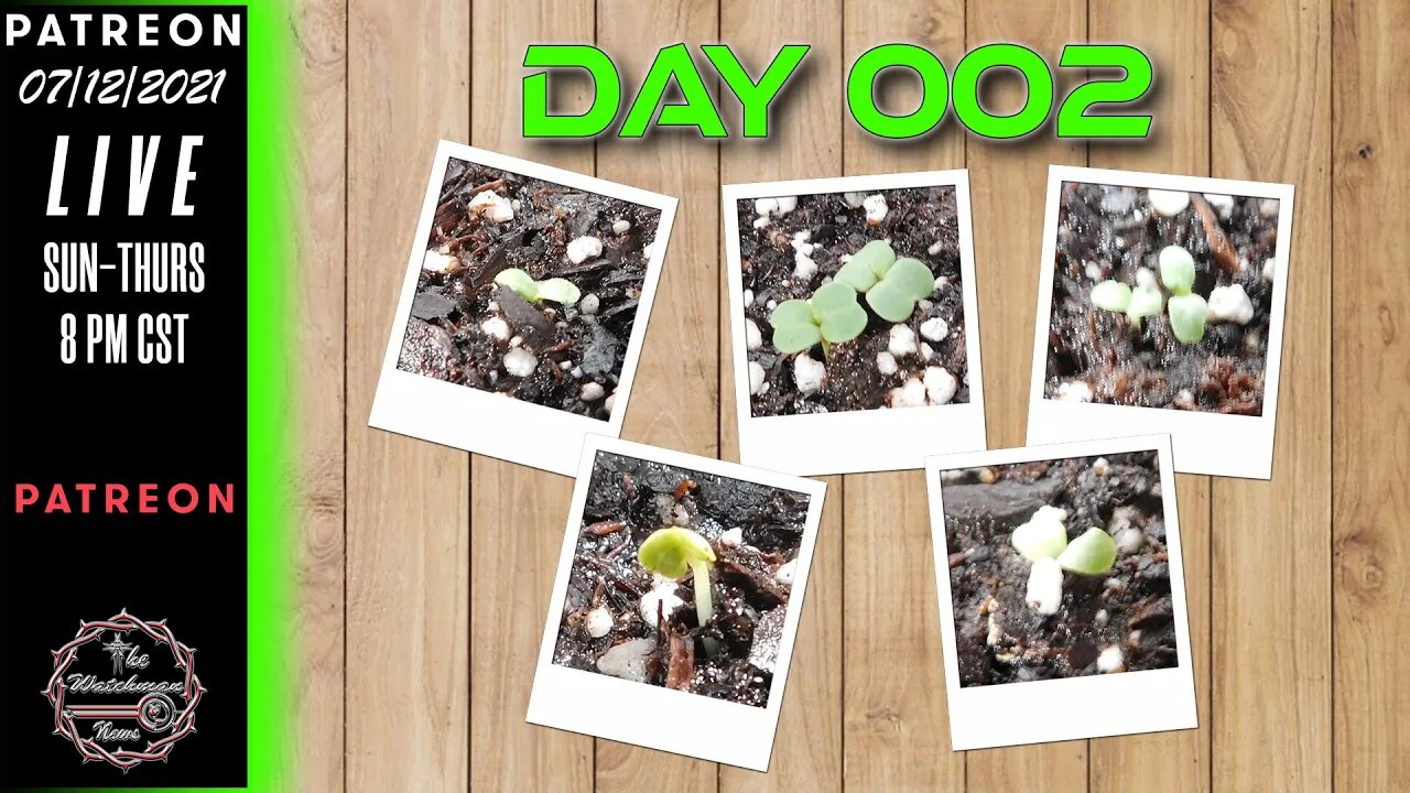 The Watchman News - Day 002 Daily VLOG - Apartment Size Indoor Economic Hybrid Hydroponic Gardening