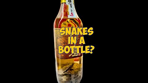 Snakes 🐍 in a Bottle?🍾 #shorts @tokyoscooterguy
