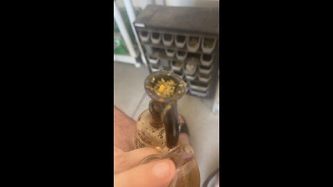 Day 117 Time to change the ash catchers water lol