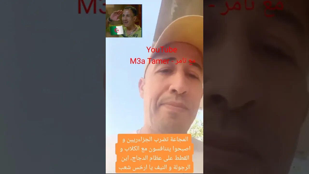 "المبـ.ـردعين يشاركون القطـ.ـط والكـ.ـلاب طعامـ.ـهم 🇩🇿" الحب والتقدير والاحترام لشعب القطط والكلاب 🤣