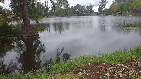 Laguna de las Lavanderas - Sábado en la mañana