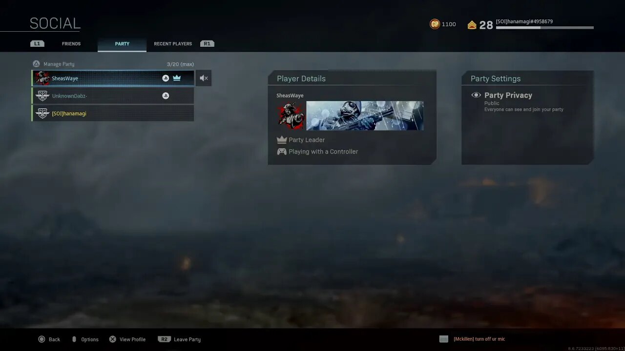 Call Of Duty MW (19) PS4