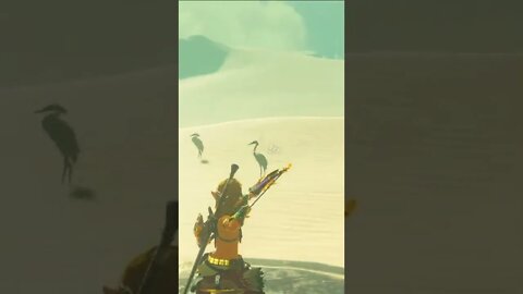 Hunting in The Legend of Zelda Breath of The Wild