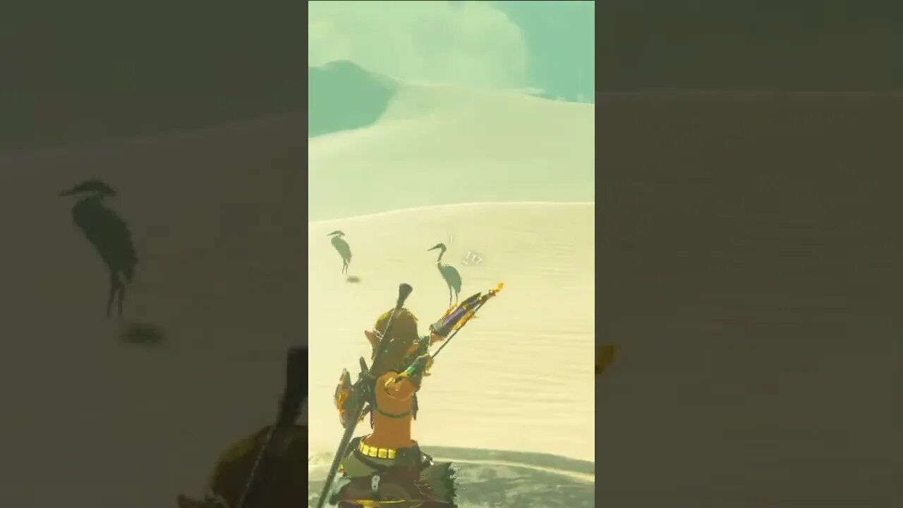 Hunting in The Legend of Zelda Breath of The Wild