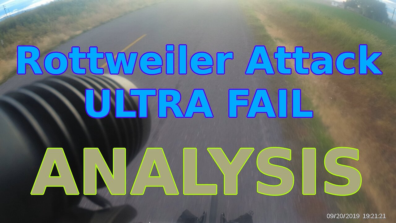 Rottweiler attack Ultra Fail ANALYSIS