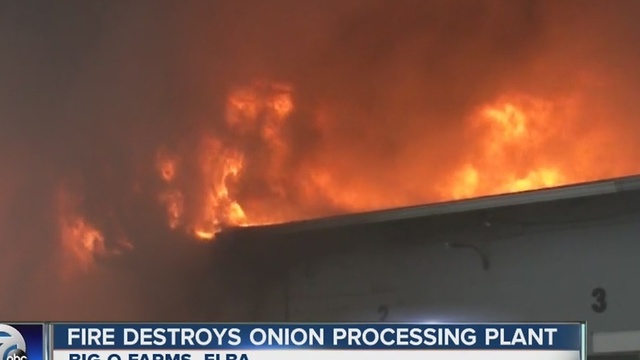 Fire destroys onion processing plant in Elba